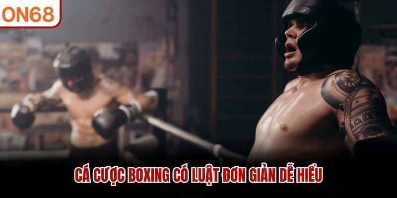 C&aacute; cược boxing c&oacute; luật đơn giản dễ hiểu&nbsp;